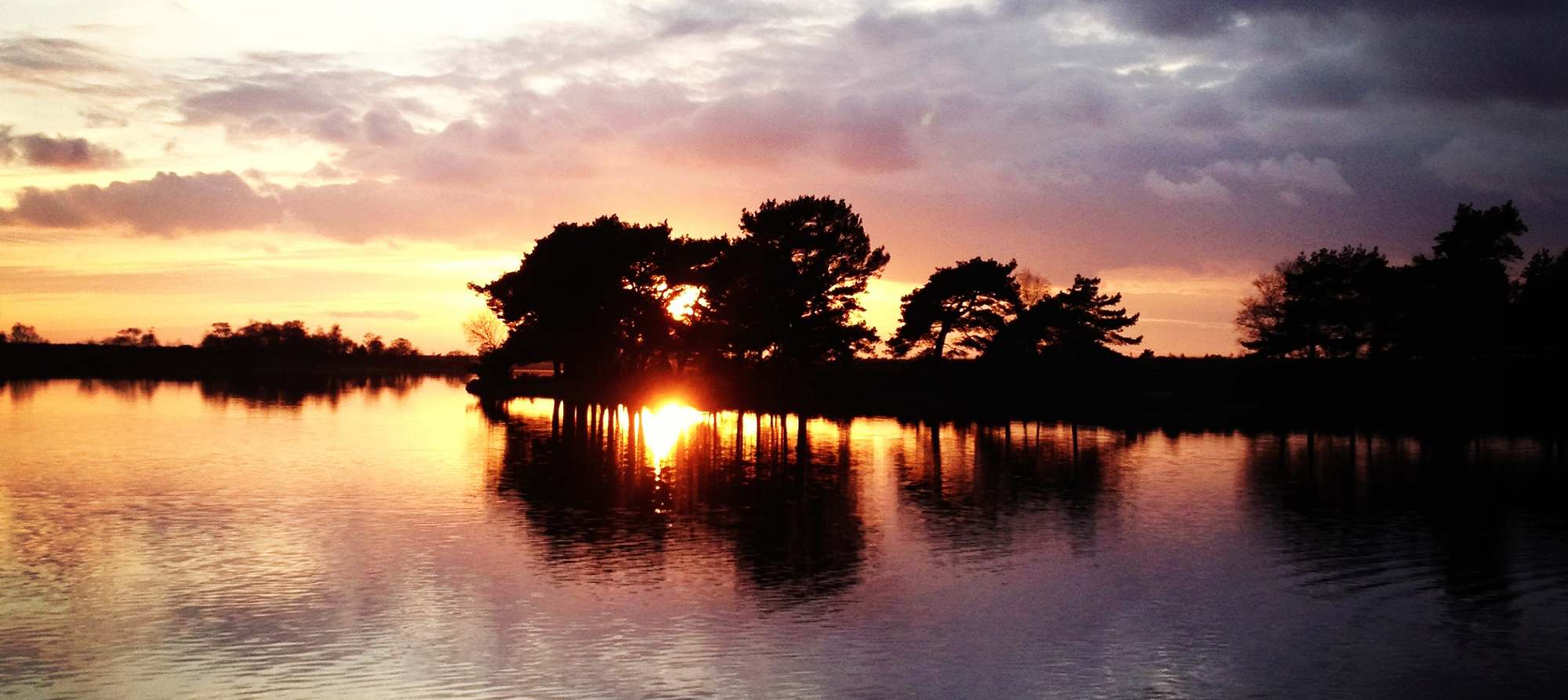 Hatchet Pond, New Forest